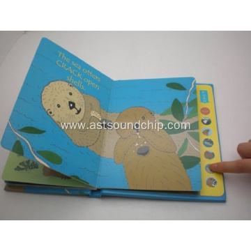 Children Book with Sound Module, Music Book